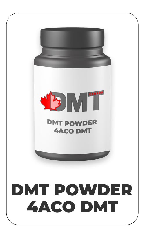 BUY DMT-Powder-4ACO on DMT Canada